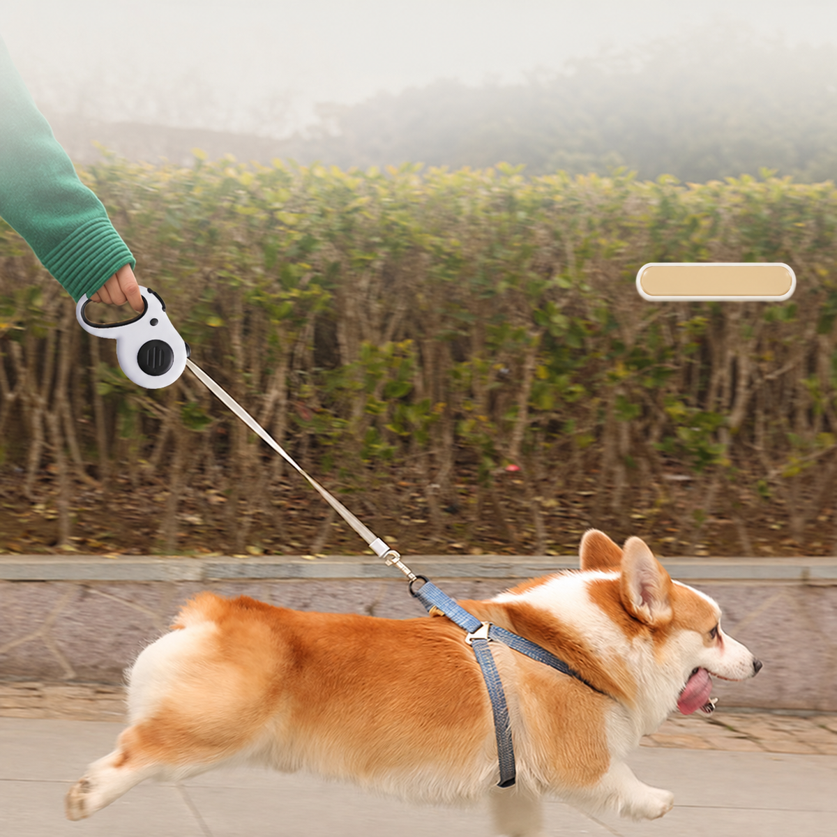 Retractable Dog Leash with One-Hand Lock